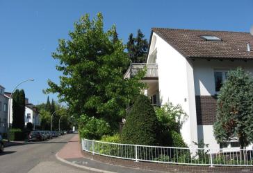 Charmante 2-Zimmer-Wohnung mit Großem Balkon in Bad Soden