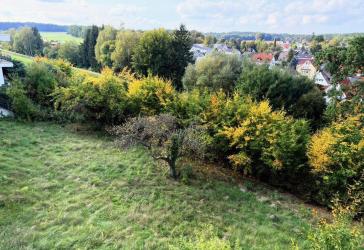 Traumgrundstück mit unverbaubarem Blick & Abendsonne
