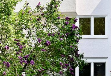 Sonnige und ruhige Wohnung mit Balkon und TG-Stellplatz