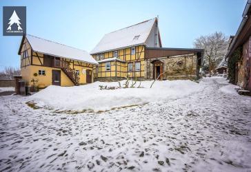 Pflaumenbaum & Harz - ein Zuhause mit Raum