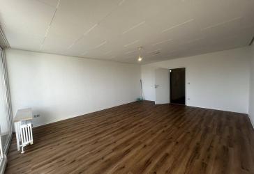 Frisch renoviert: Großzügige 1-Zimmer-Wohnung (51 m²) mit sonniger Loggia & Grünblick in Bad Homburg