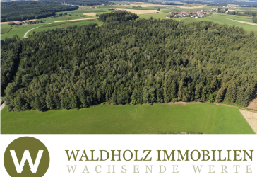 Vorschaubild Immobilie