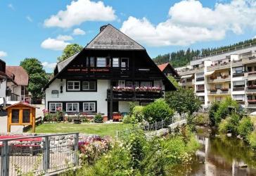 Gelegenheit - Schwarzwaldhaus mit Ferienwohnungen im Hochschwarzwald !
