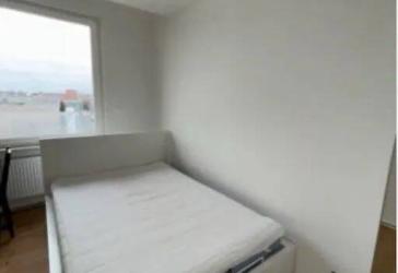 Gemütliches WG-Zimmer in guter Lage - Nürnberg | Pfälzerstraße 56