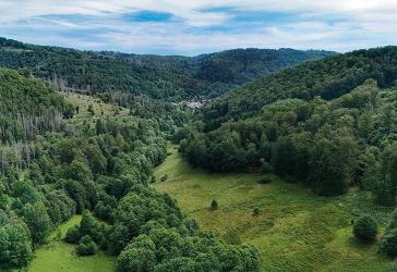 ca. 0,7 ha Grünfläche im Naturpark Harz