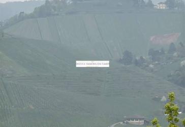 Gartengrundstück zu verkaufen, Höhenlage S-Wangen, traumhafte Aussicht, Spätzle Immobilien