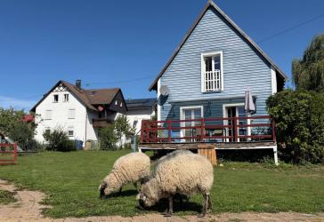 Vorschaubild Einfamilienhaus