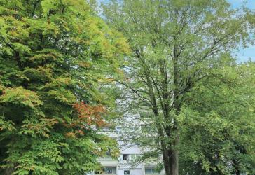 Sehr schön aufgeteilte 3-Zimmer-Wohnung mit traumhaftem Blick und Schwimmbad in Neu-Ulm