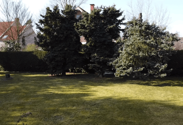 Vorschaubild Grundstück