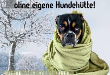 Freiheit gibt's in deinen eigenen 4 Wänden!