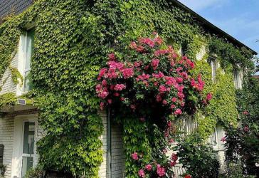 Top gepflegtes Haus*traumhafter Garten*zentrumsnah & naturverbundener Stadtteil Köln*3 Wohnkonzepte