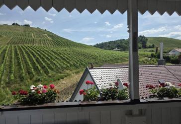 Provisionsfrei! Panoramablick direkt an den Weinbergen Untertürkheims