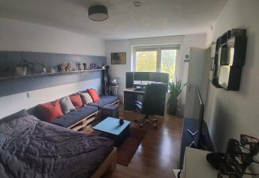 1-Zimmer Wohnung Untergiesing, Provisionsfrei