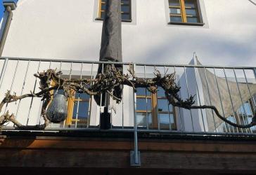 Vorschaubild Stadthaus