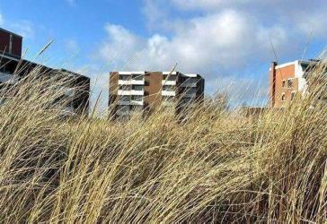 frisch saniert: 3-Zi-Whg Hochparterre Wyk / Südstrand