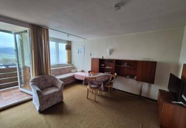 Voll möbliertes 1,5-Zi. Apartment am Waldrand mit Balkon, Pool, Strom, Internet inkl.