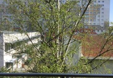 Kleine gemütliche 4 Raum Wohnung, Haus mit Aufzug, Nachmieter gesucht!