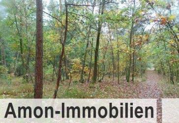 Vorschaubild Grundstück
