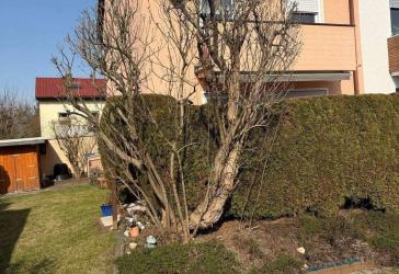 Vorschaubild Sonstiges Haus