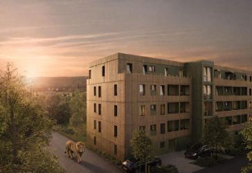 Vorschaubild Penthouse