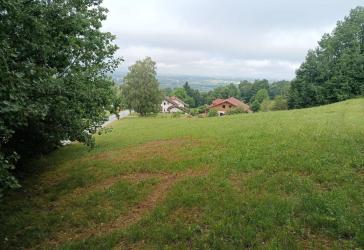 Vorschaubild Immobilie