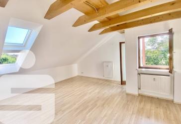 Große Wohnung mit einer Besonderheit