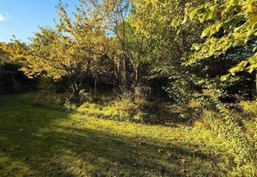 Baugrundstück 1.104 m² mit Kleinhaus (36 m²) oder neu bebaubar in Melchow