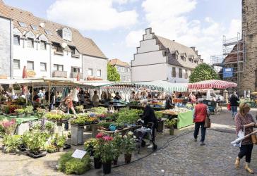 Vorschaubild Mehrfamilienhaus