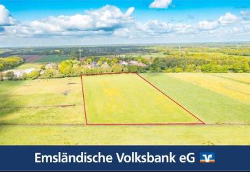 Rd. 2,7 Hektar Grünland in Rhede -Brual zu verkaufen