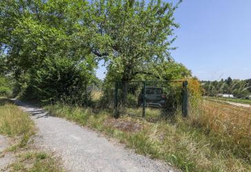 Gartenfreunde aufgepasst! - Freizeitgrundstück im beliebten Gartengebiet Krummer Weg / Riebergle