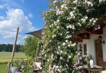 Vorschaubild Sonstiges Haus