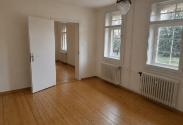 Historischer Charme und Zukunftspotenzial: Reetdachhaus mit großem Grundstück
