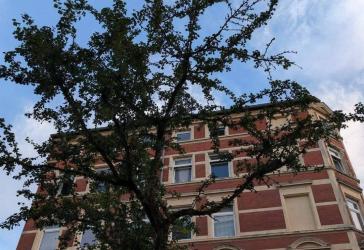 Vorschaubild Mehrfamilienhaus
