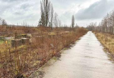 Baugrundstück o. Baugebiet im Zentrum von Limbach!
