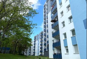 Sanierte 3-Zimmerwohnung mit tollen Balkon