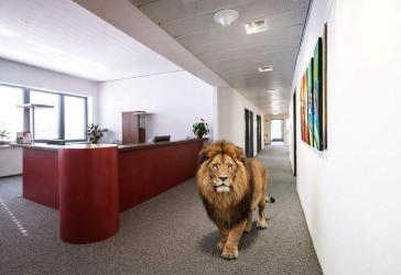 SCHWIND IMMOBILIEN - viel Platz zum Weiterentwickeln