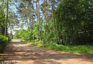 Ein teilbares Baugrundstück in der Waldgemeinde Borkheide
