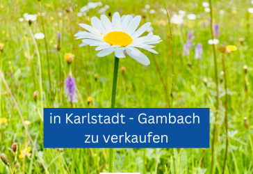 Vorschaubild Grundstück