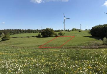 Ruhig gelegene Weide- und Wiesenfläche (3.280 m²) zur Pferdehaltung oder landwirtschaftlichen Nutzung