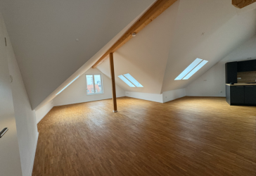 Vorschaubild Penthouse