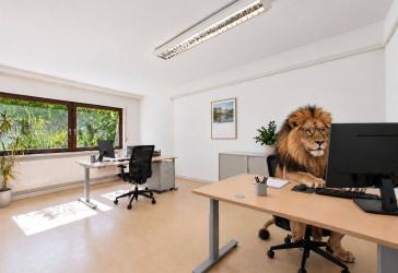 Vorschaubild Büro- /Praxis-Immobilie