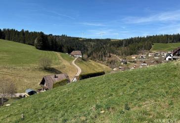 Vorschaubild Grundstück