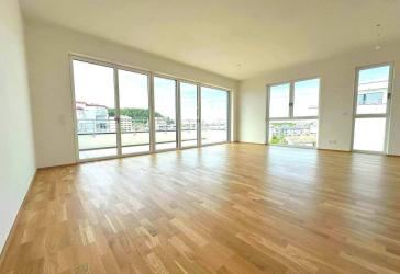 Neubau 3-Zimmer-Penthouse-Wohnung am Stadtpark