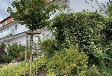 9106/718 | geräumiges 1-Zimmerappartement mit separater EBK, HWR und großer Terrasse