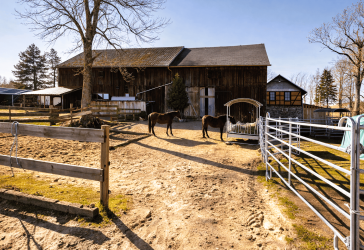 Vorschaubild Bauernhaus