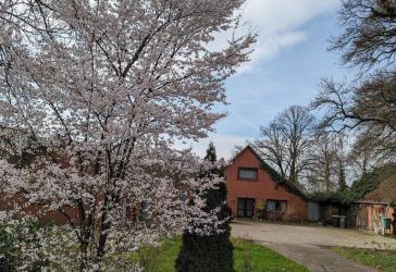 Provisionsfrei: Viel Platz - nahe Oldenburg. 2 Wohnungen