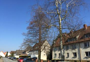Vorschaubild Wohnung