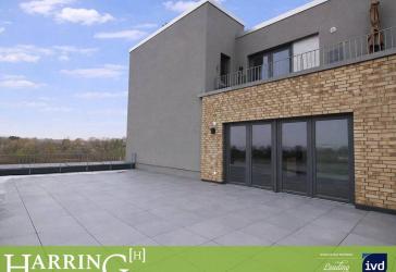 Modernes Zuhause mit urbanem Charakter und außergewöhnlichem Freiraum