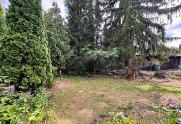 Eines der letzten großen Grundstücke - Sanierung, Neubau oder Teilung