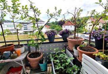 Vorschaubild Loft-Studio-Atelier